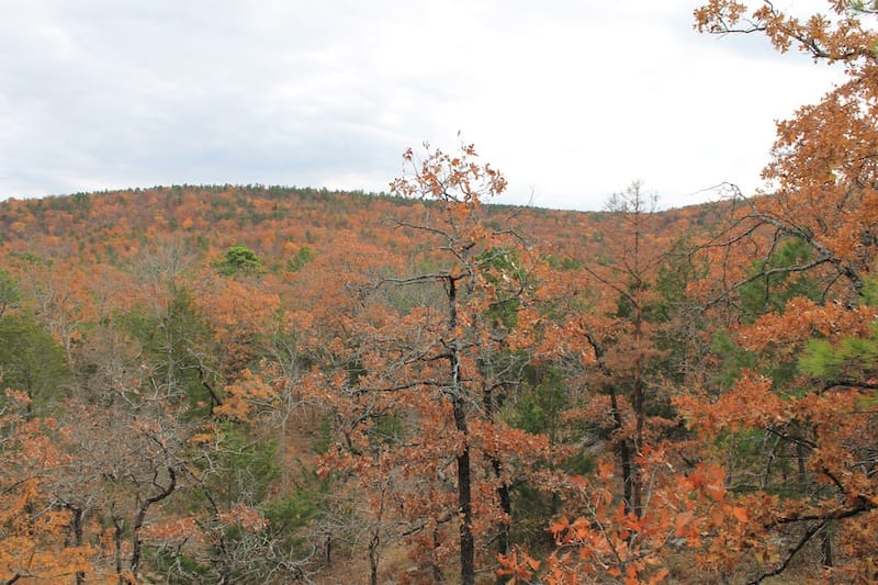 Lake View Ranch Tract 5 photo 28