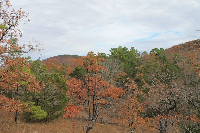 Lake View Ranch Tract 5 photo 29