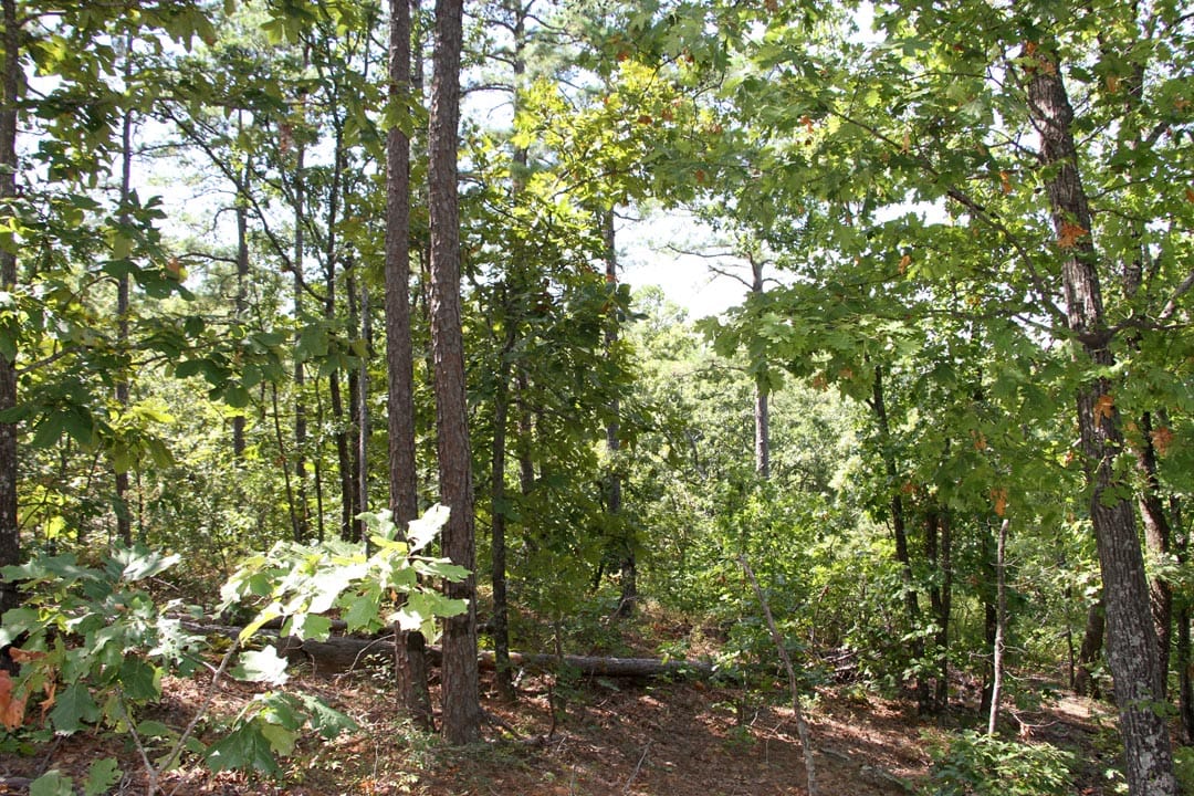 Lakeview Private Reserve Tract 21 photo 3