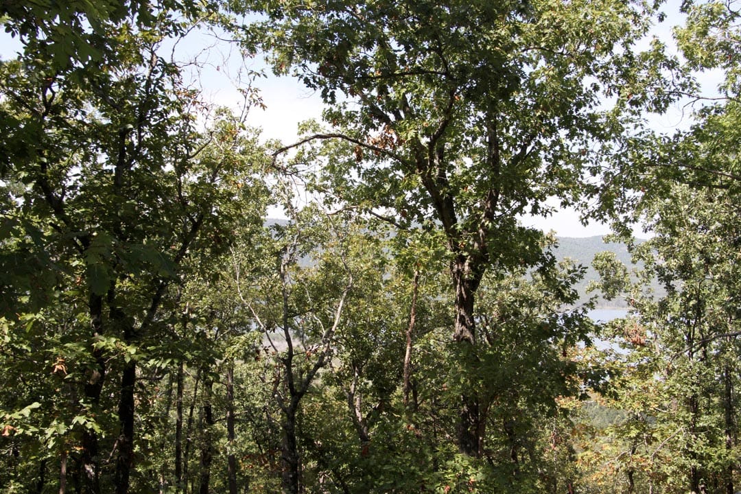 Lakeview Private Reserve Tract 21 photo 4