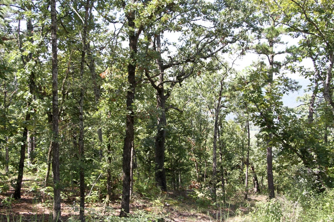 Lakeview Private Reserve Tract 21 photo 9