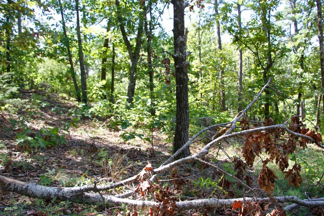Lakeview Private Reserve Tract 21 photo 10