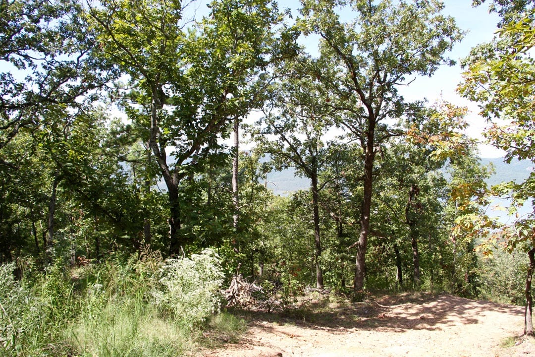 Lakeview Private Reserve Tract 21 photo 11