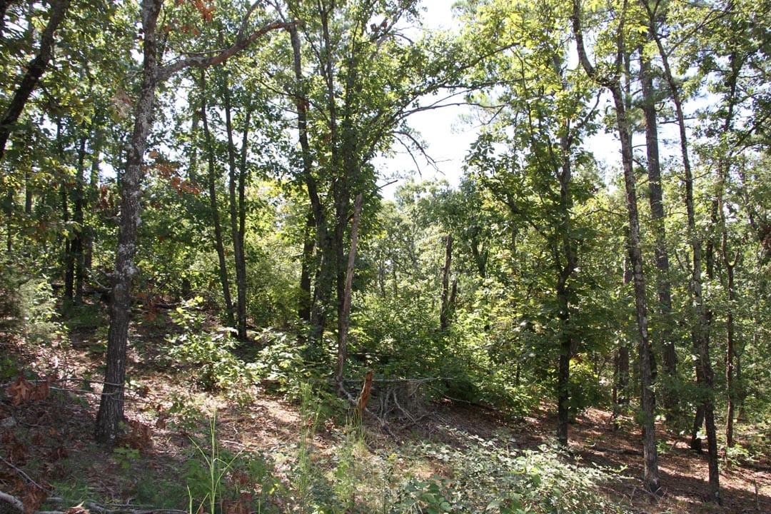 Lakeview Private Reserve Tract 21 photo 13