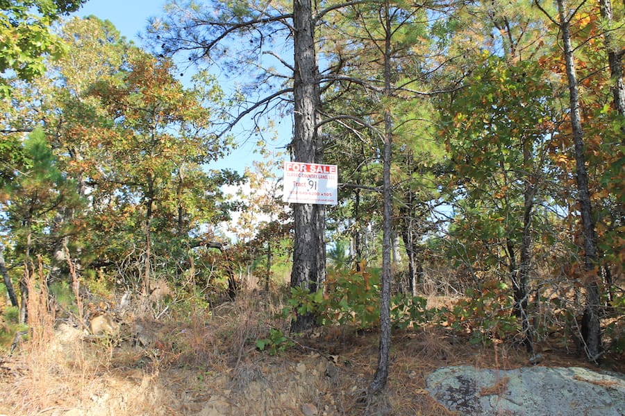 Indian Ridge – Phase III Tract 91 photo 1