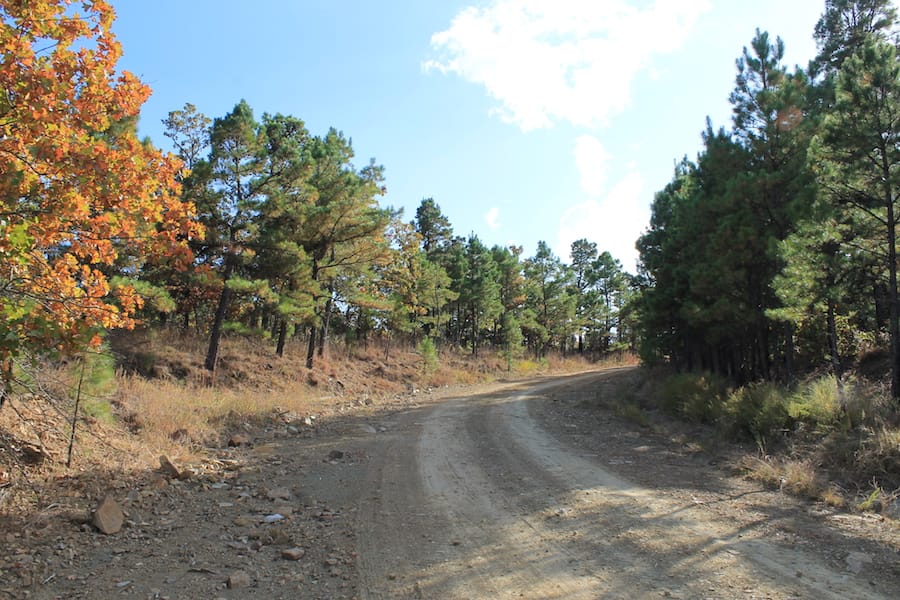 Indian Ridge – Phase III Tract 91 photo 2