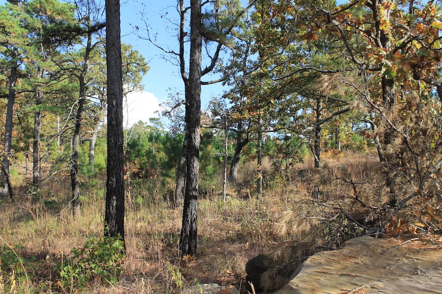 Indian Ridge – Phase III Tract 91 photo 3