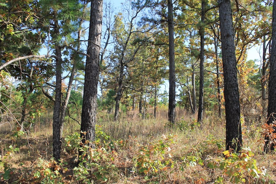 Indian Ridge – Phase III Tract 91 photo 5