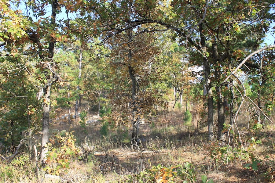 Indian Ridge – Phase III Tract 91 photo 6