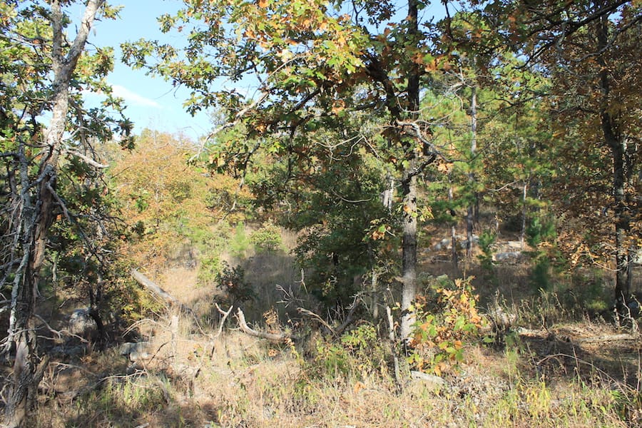 Indian Ridge – Phase III Tract 91 photo 7
