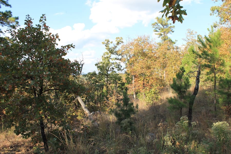 Indian Ridge – Phase III Tract 91 photo 8