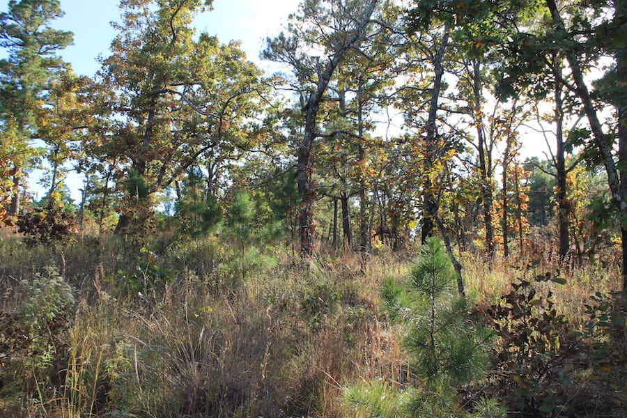 Indian Ridge – Phase III Tract 91 photo 9