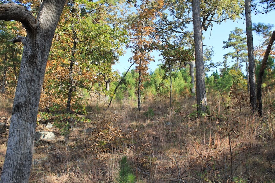 Indian Ridge – Phase III Tract 91 photo 10