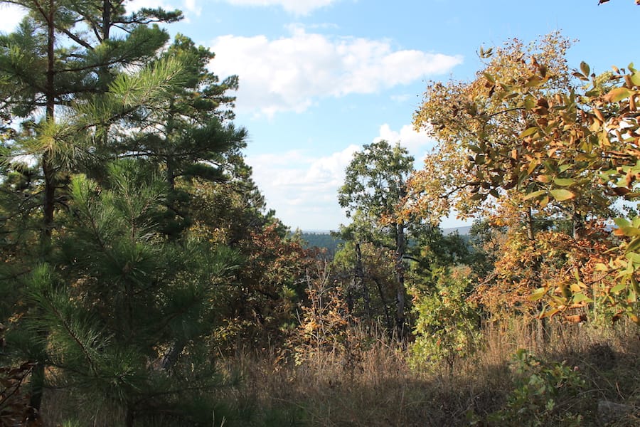 Indian Ridge – Phase III Tract 91 photo 11