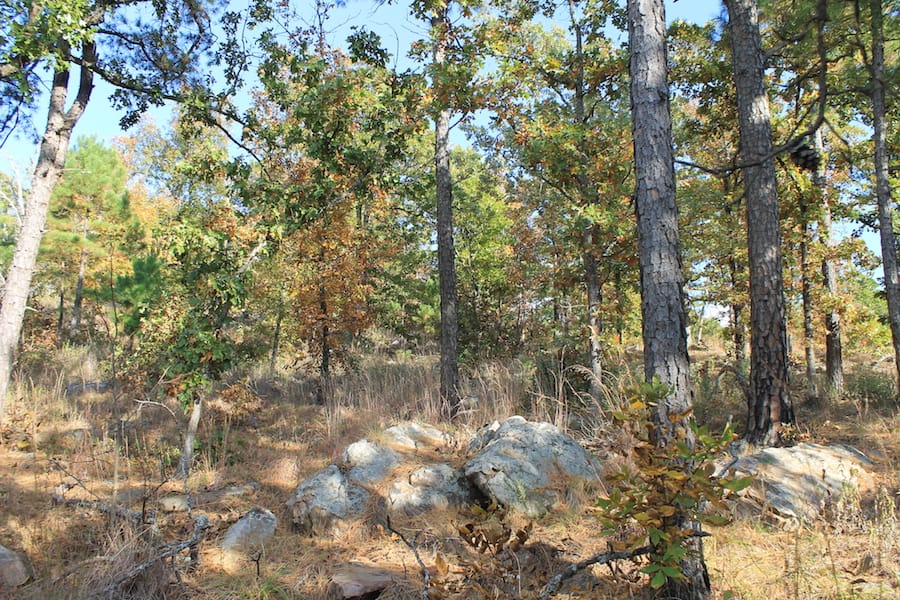 Indian Ridge – Phase III Tract 91 photo 12