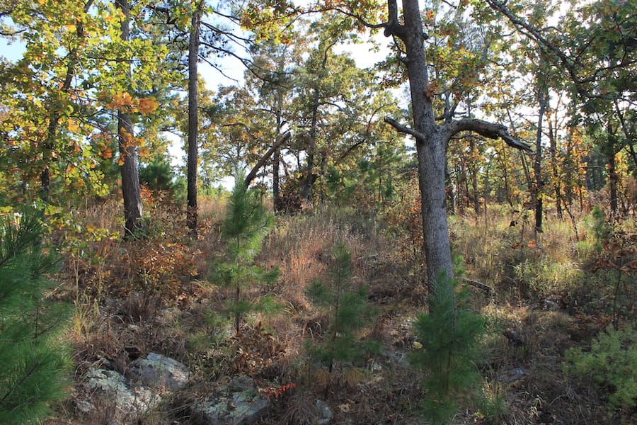 Indian Ridge – Phase III Tract 91 photo 15