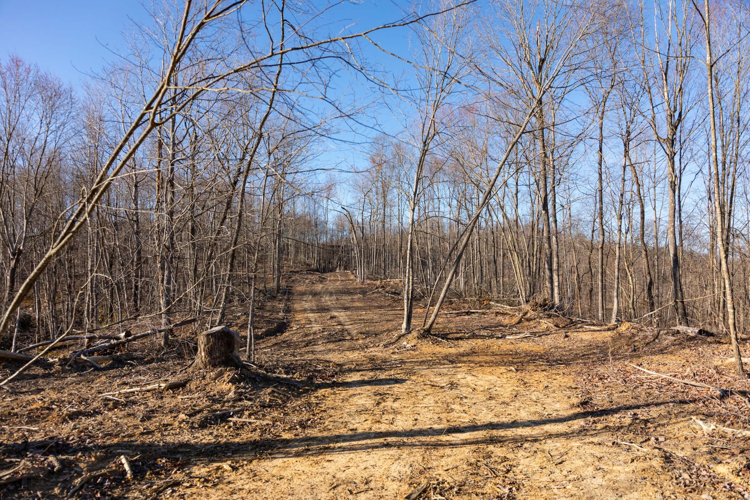 Creek Hollow Phase I Tract 21 photo 1