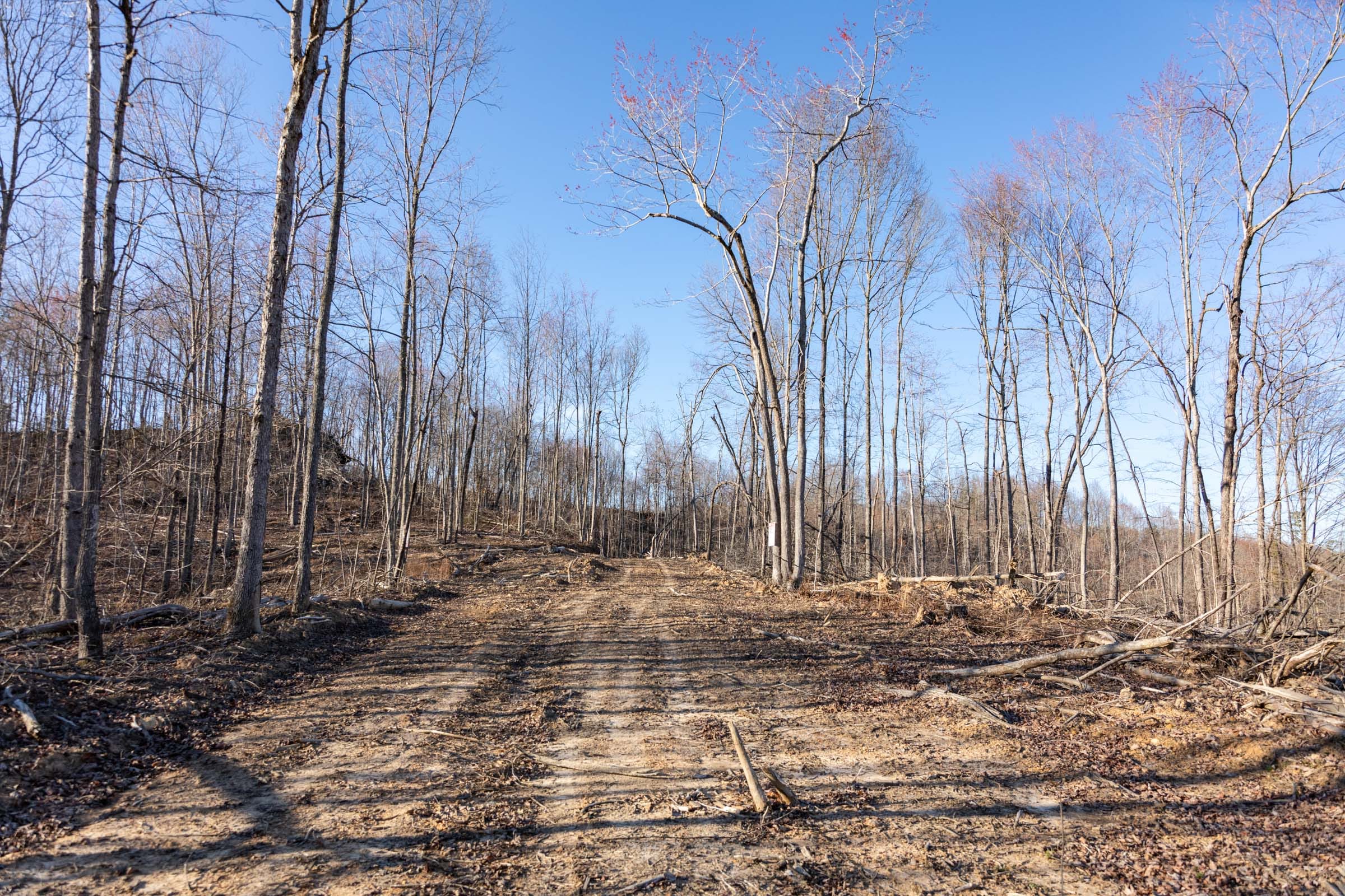 Creek Hollow Phase I Tract 21 photo 5