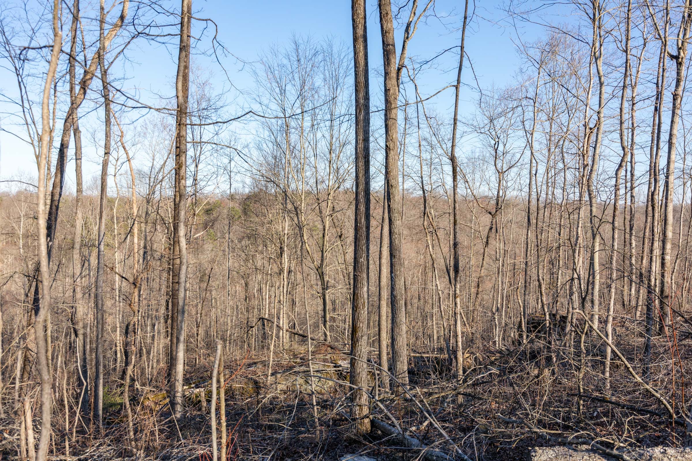 Creek Hollow Phase I Tract 21 photo 6
