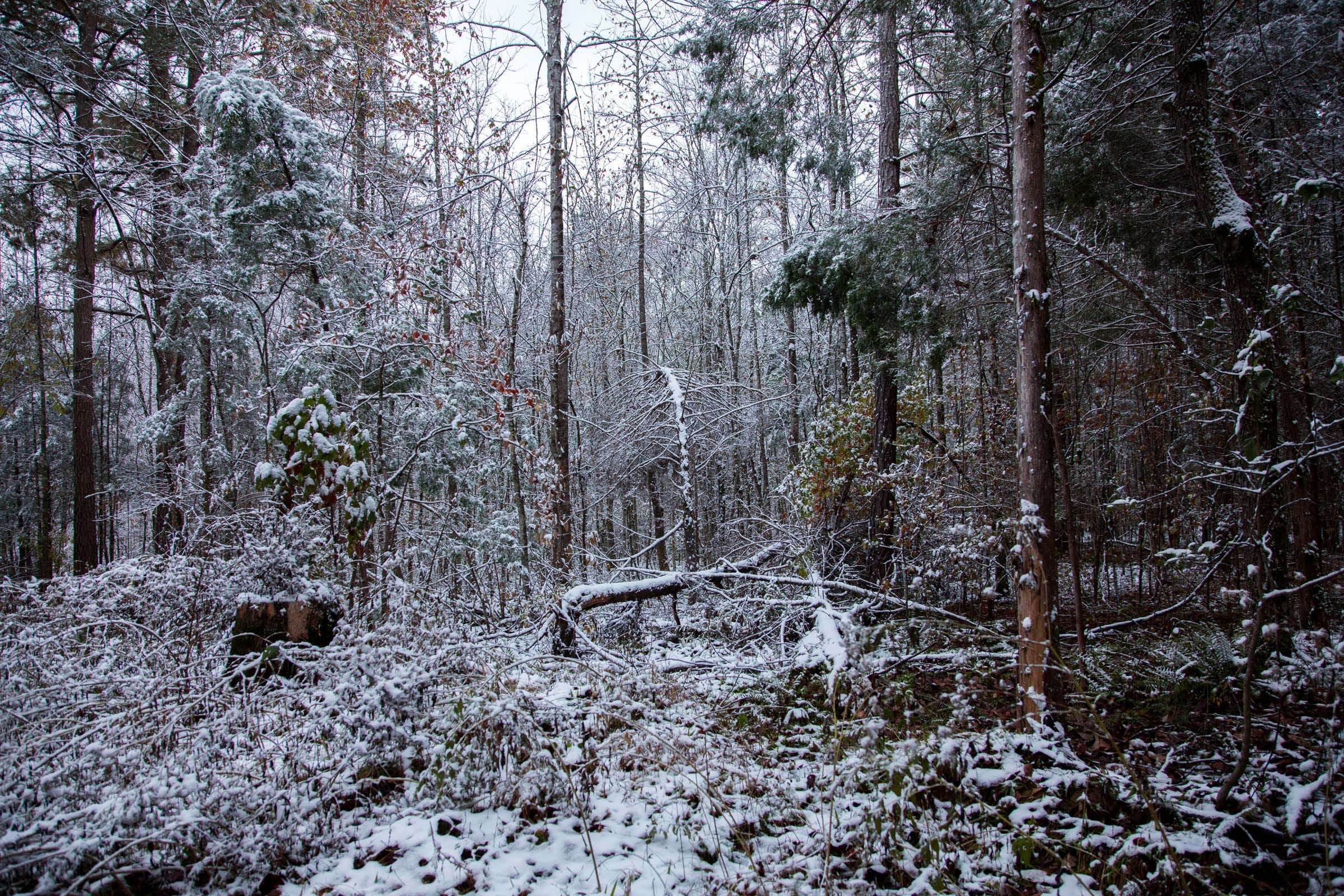 Sweet Water Ranch Tract 26 photo 1