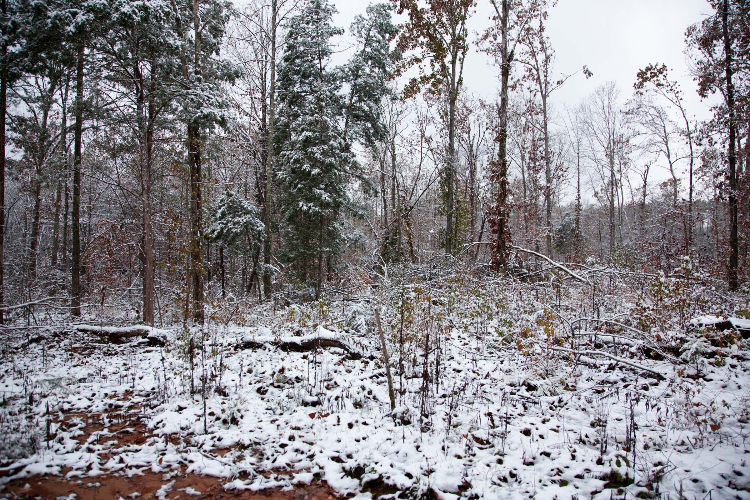 Sweet Water Ranch Tract 26 photo 2