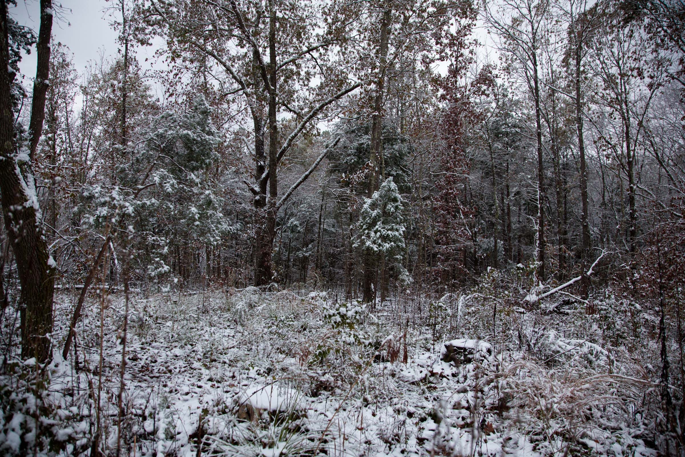Sweet Water Ranch Tract 26 photo 3