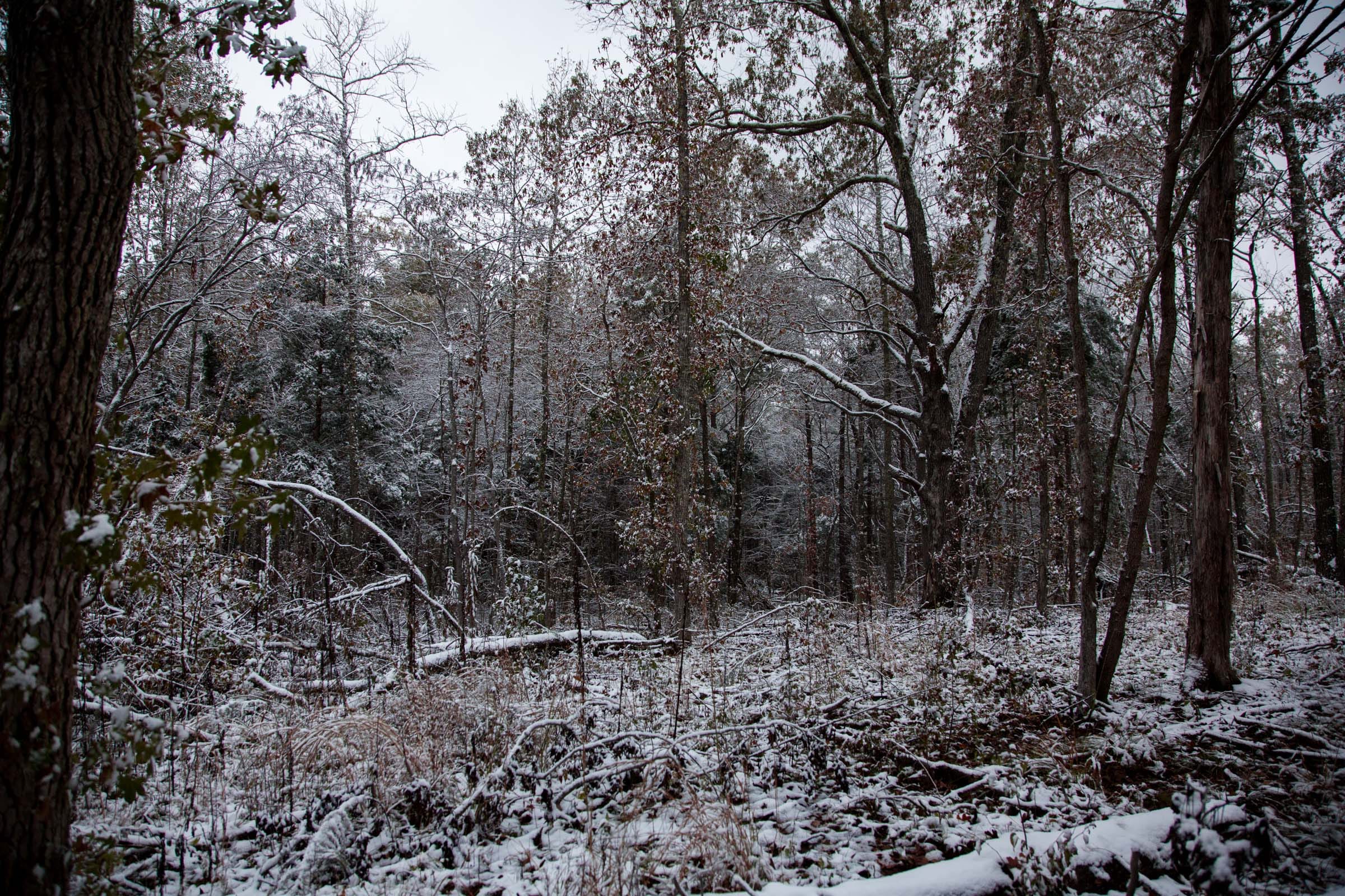 Sweet Water Ranch Tract 26 photo 4
