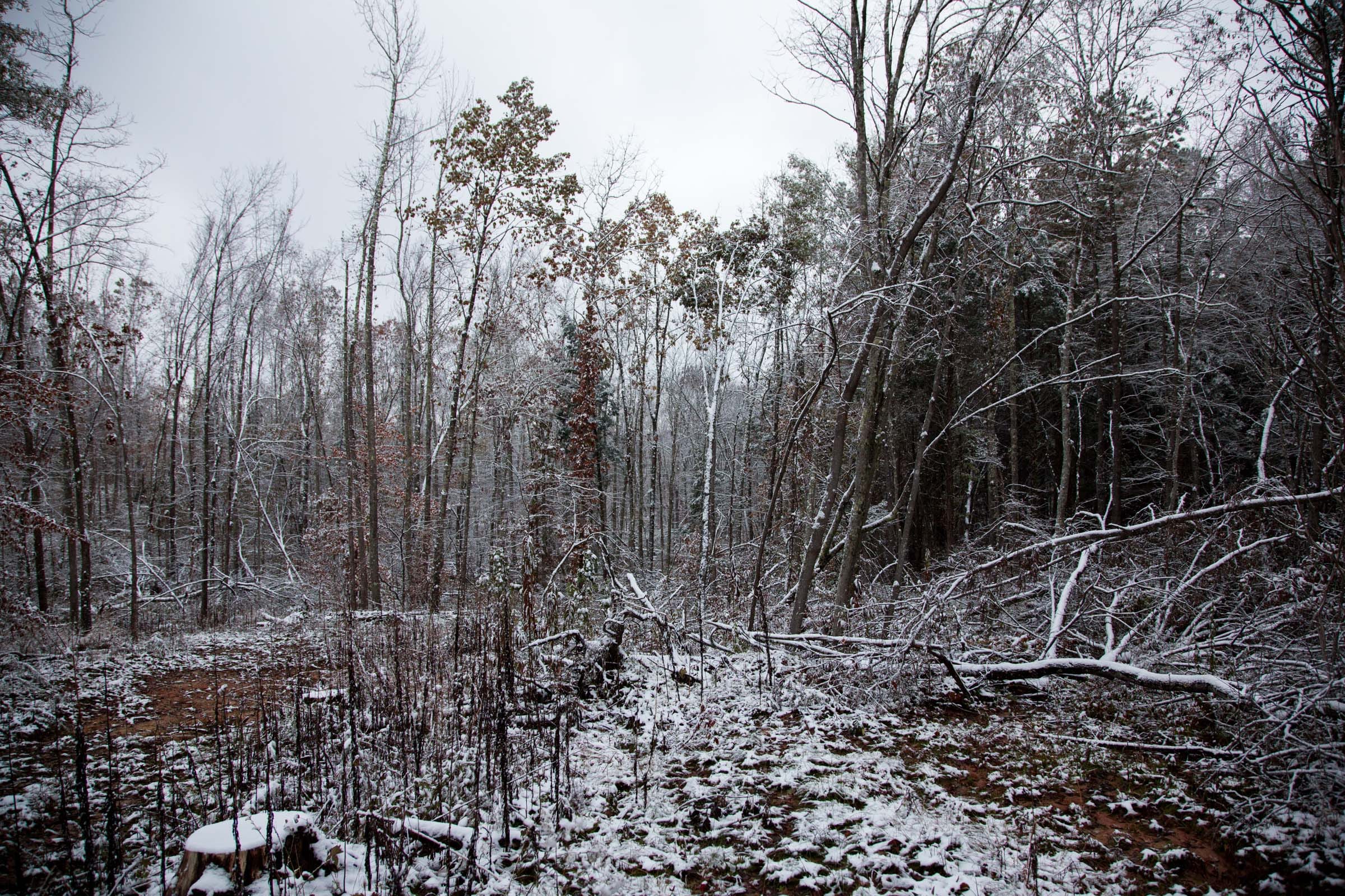 Sweet Water Ranch Tract 26 photo 5