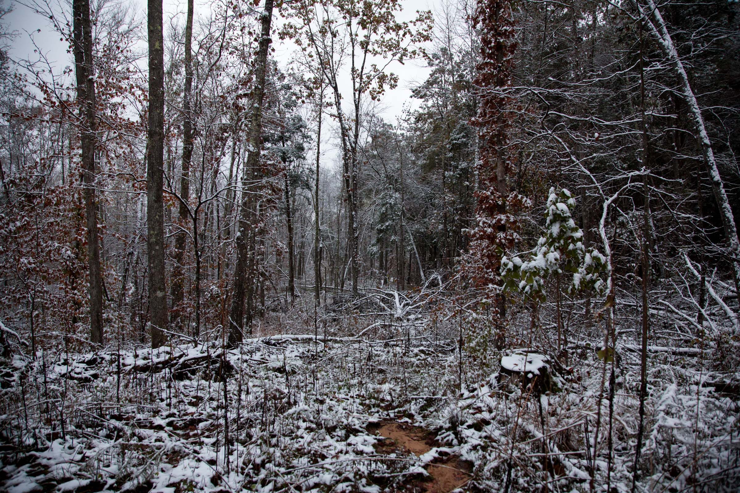 Sweet Water Ranch Tract 26 photo 6