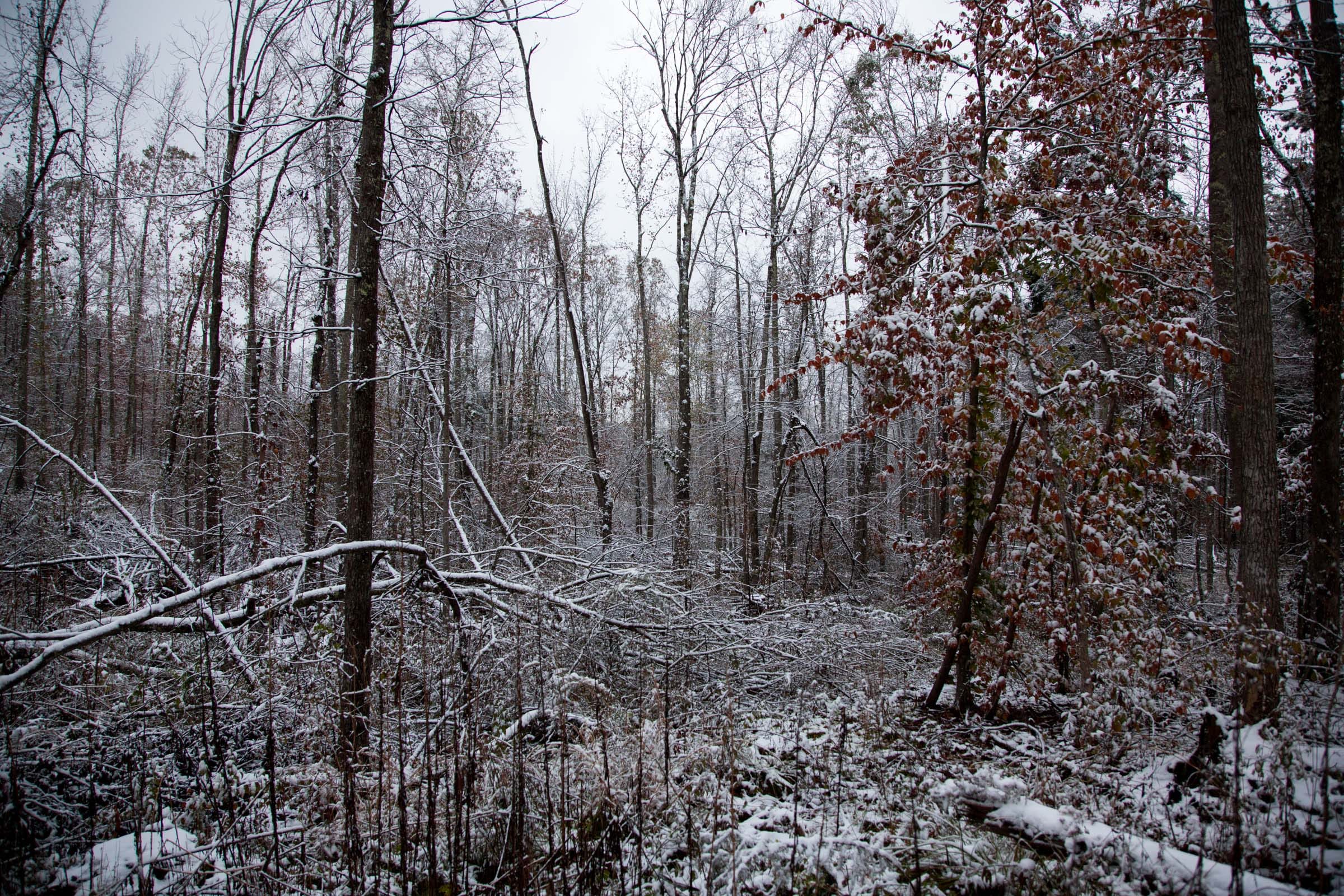 Sweet Water Ranch Tract 26 photo 7