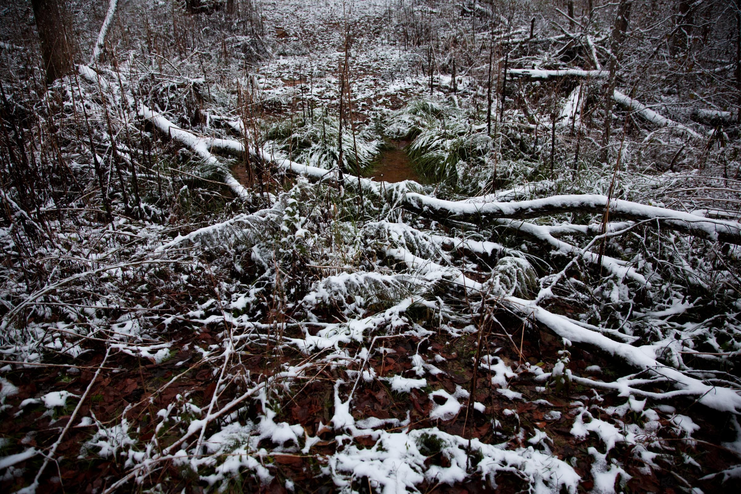 Sweet Water Ranch Tract 26 photo 8