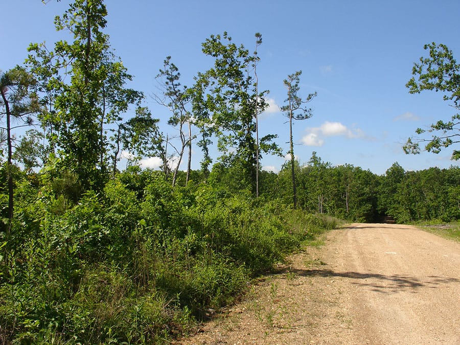 Antler Ridge Tract 37 photo 1