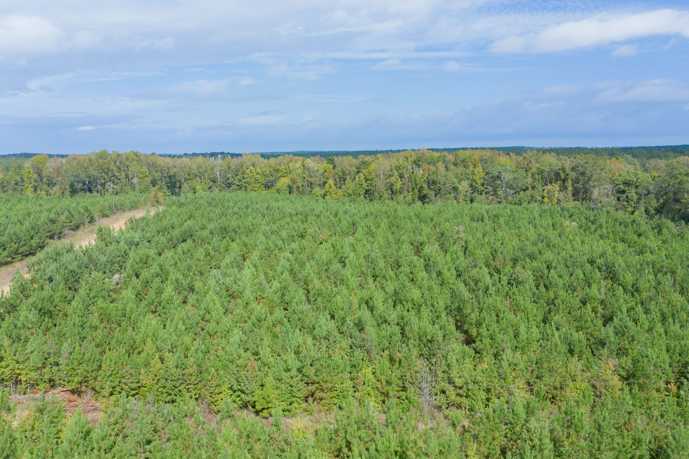 Brentwood Tract 3 photo 11