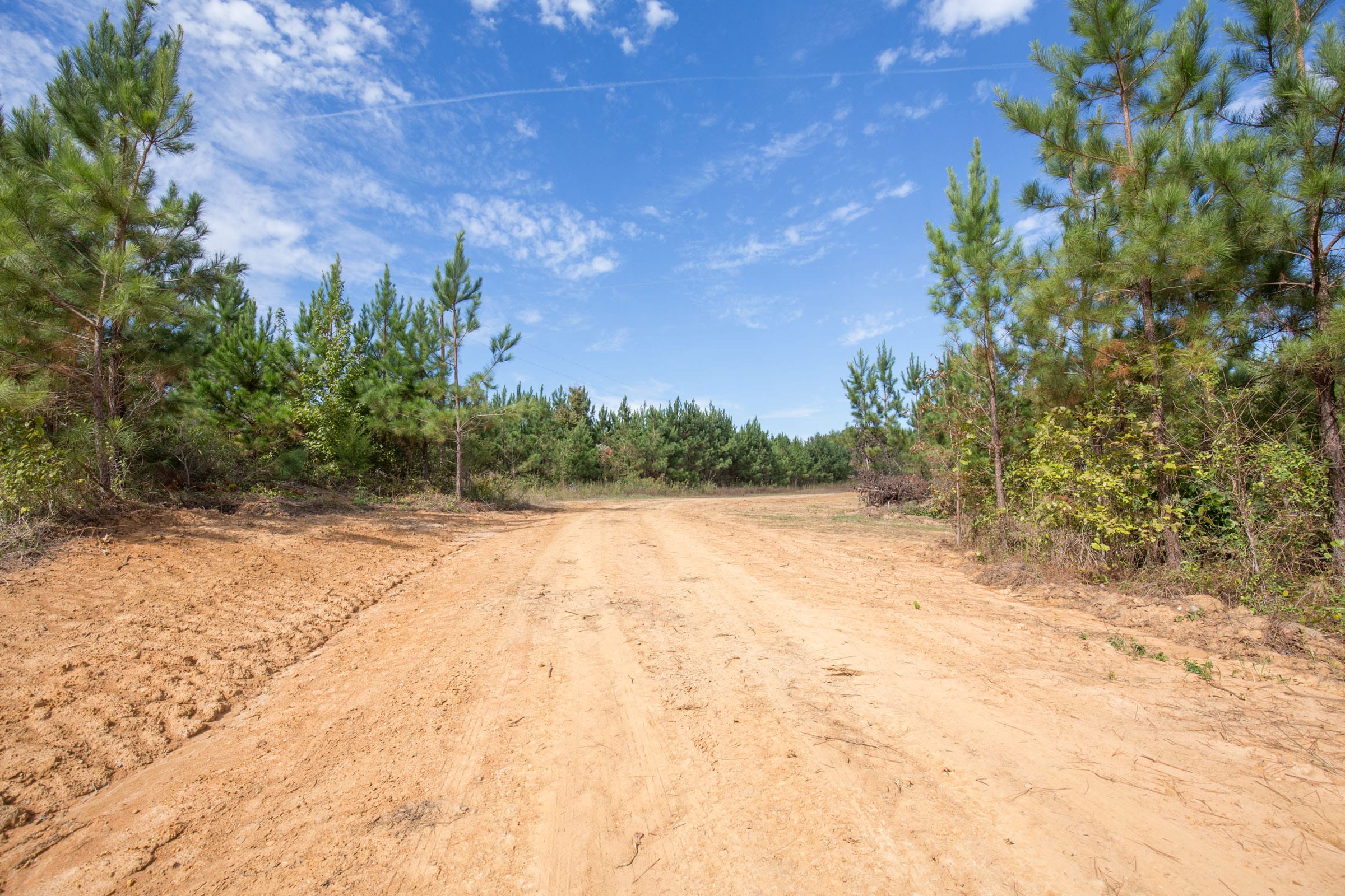 Brentwood Tract 3 photo 4