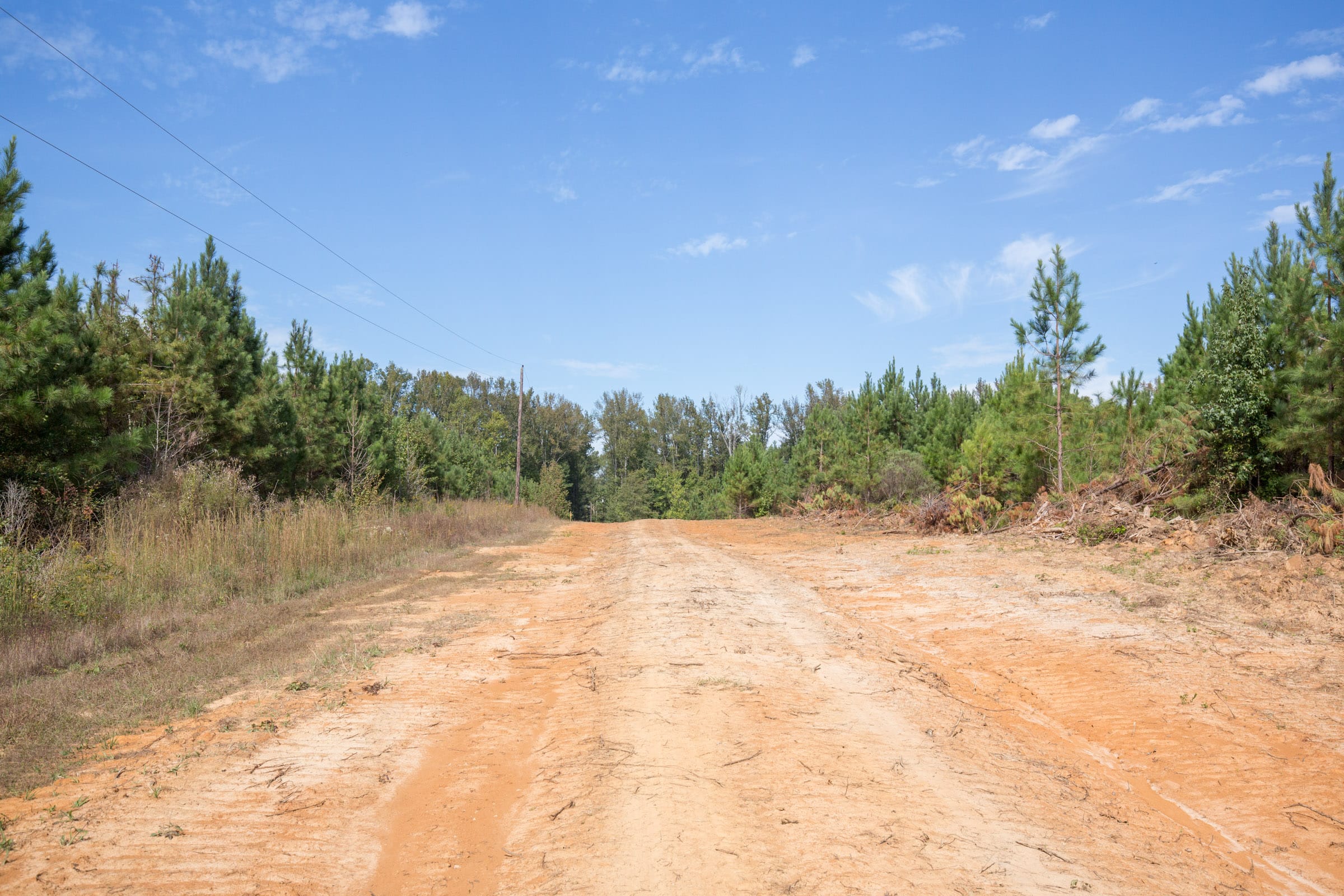 Brentwood Tract 3 photo 7