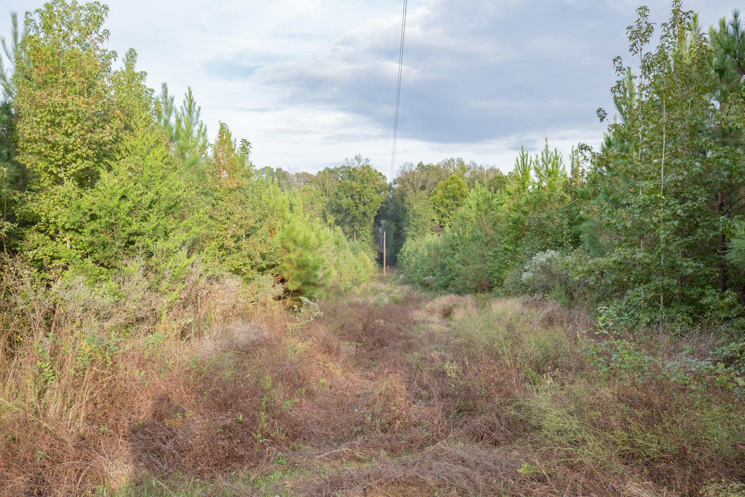 Brentwood Tract 3 photo 9