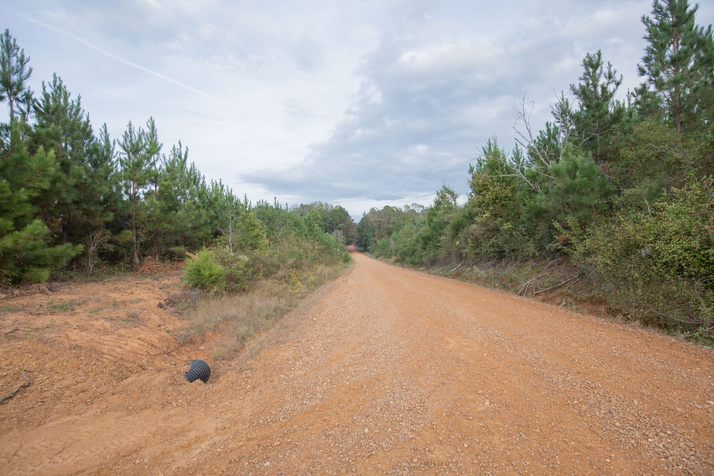Brentwood Tract 3 photo 10