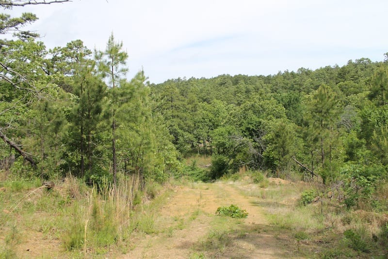 Indian Ridge – Phase II Tract 72 photo 1