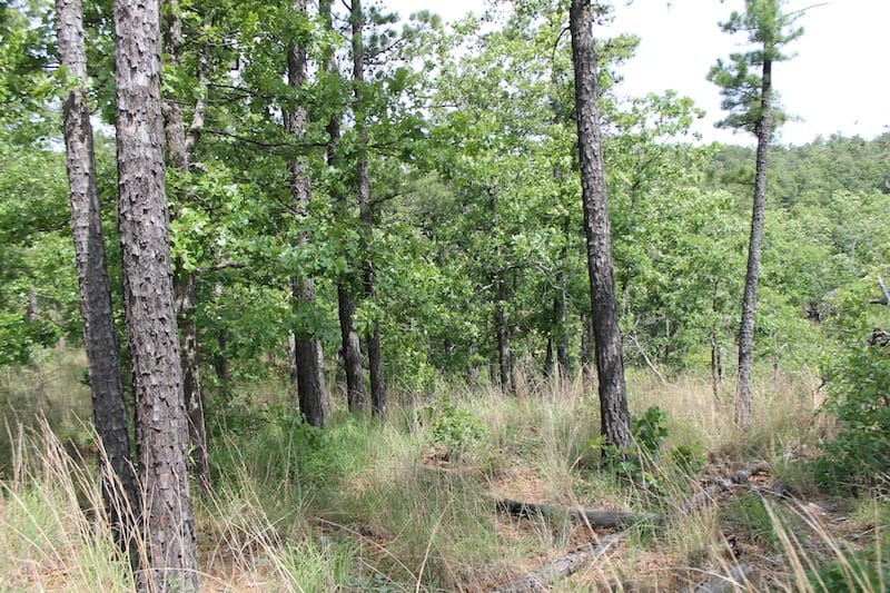 Indian Ridge – Phase II Tract 72 photo 2