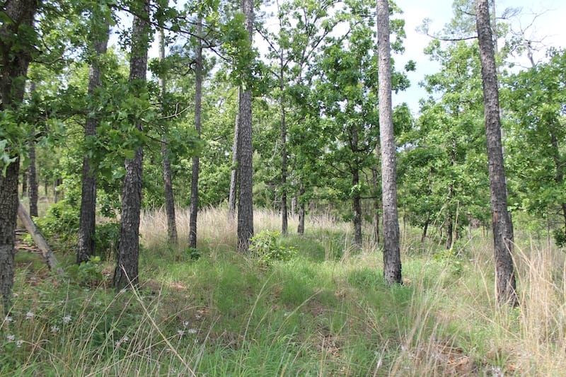 Indian Ridge – Phase II Tract 72 photo 4