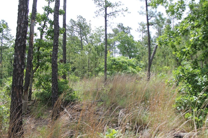 Indian Ridge – Phase II Tract 72 photo 6