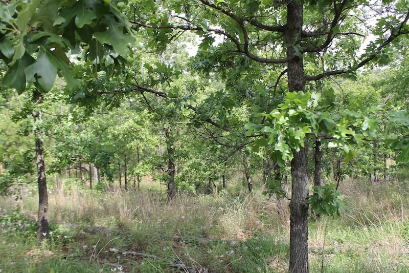 Indian Ridge – Phase II Tract 72 photo 8