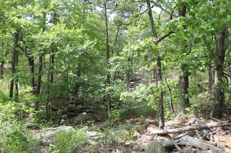 Indian Ridge – Phase II Tract 72 photo 10