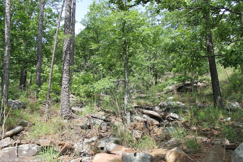 Indian Ridge – Phase II Tract 72 photo 11