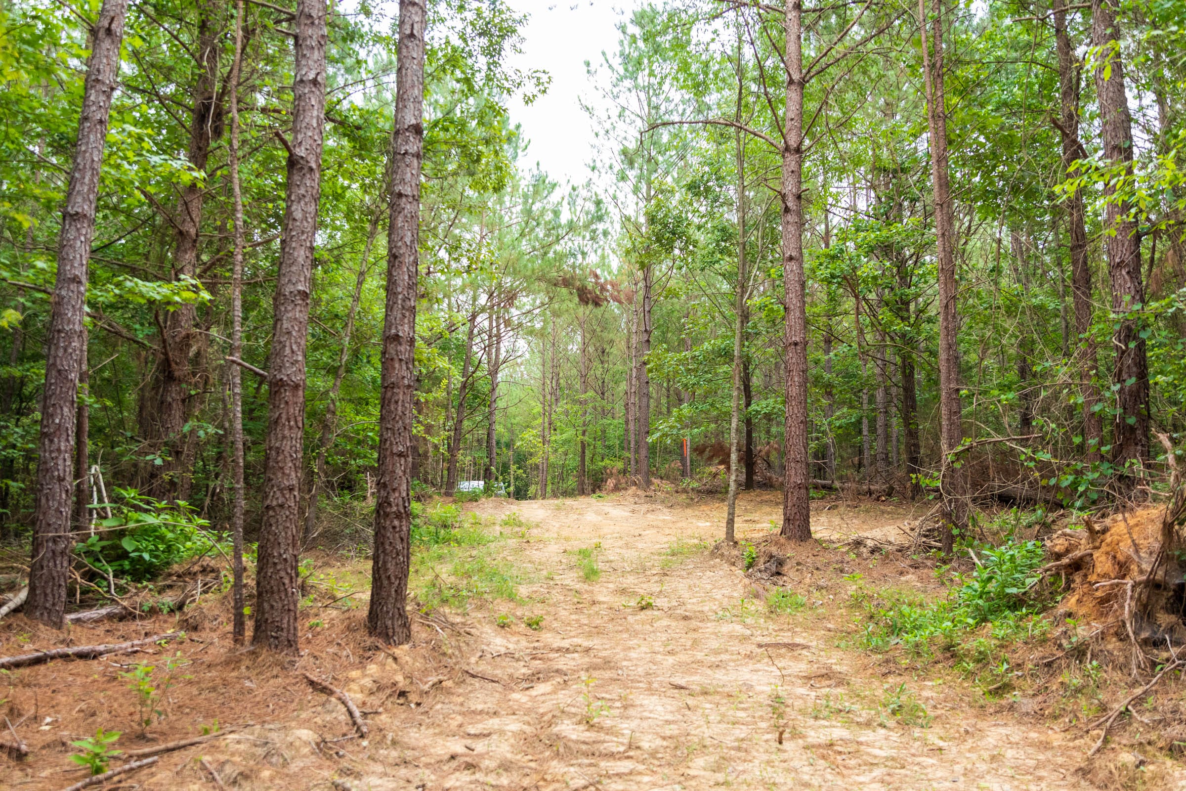 Whiskey Ridge Tract 67 photo 2