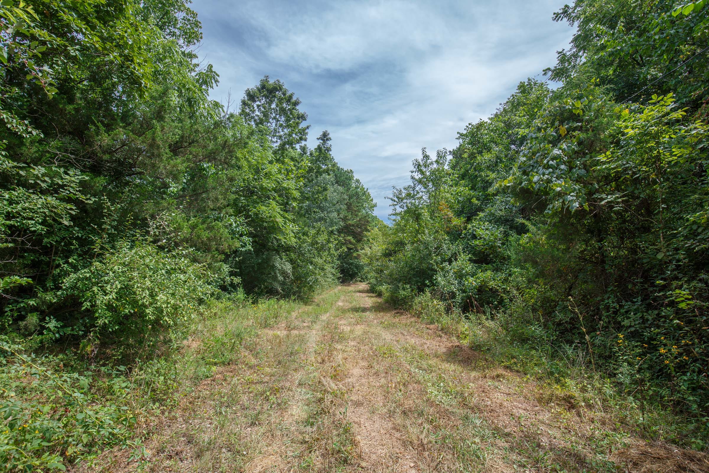 Spring Lake Plat 1 Tract 25 photo 1
