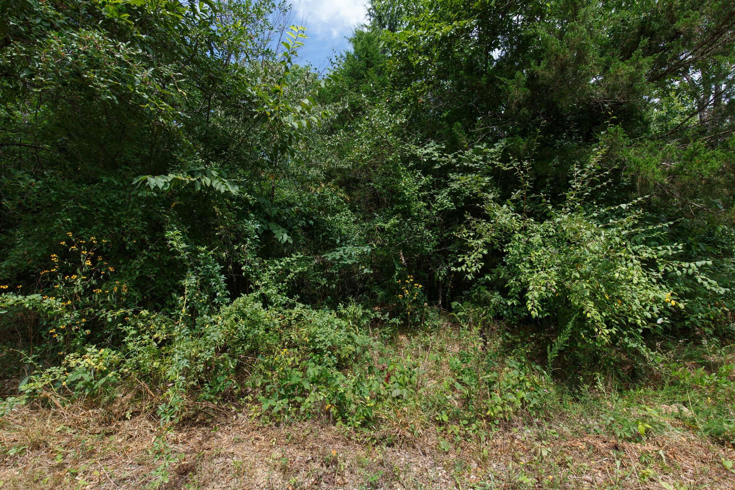 Spring Lake Plat 1 Tract 25 photo 2