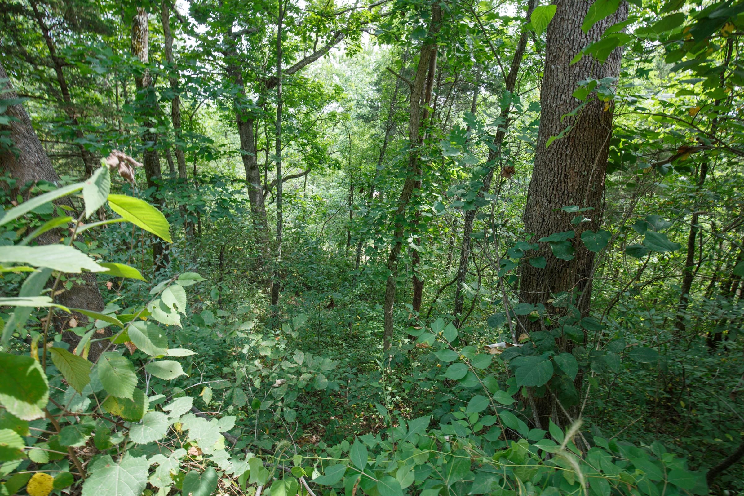 Spring Lake Plat 6 Tract 106 photo 1