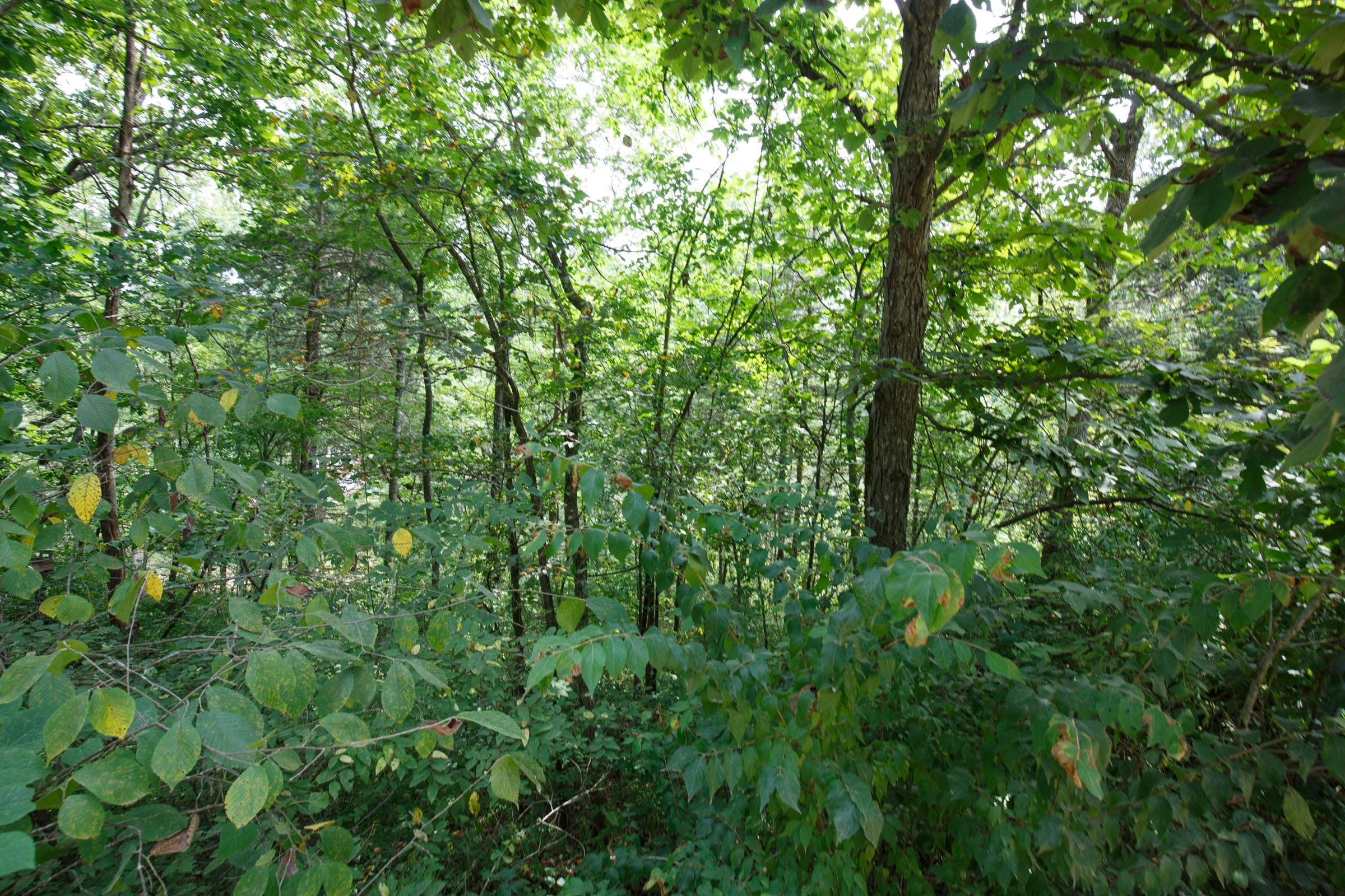 Spring Lake Plat 6 Tract 106 photo 3