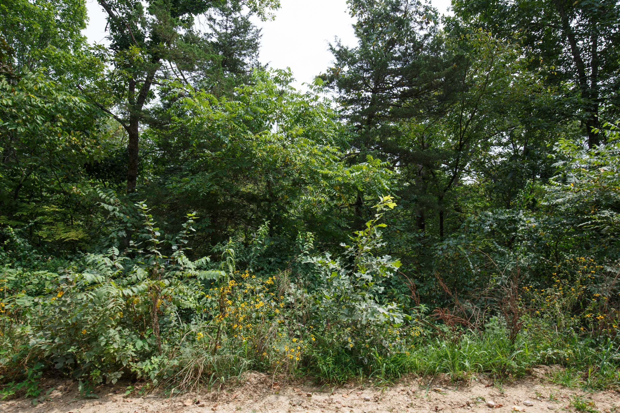 Spring Lake Plat 6 Tract 106 photo 5